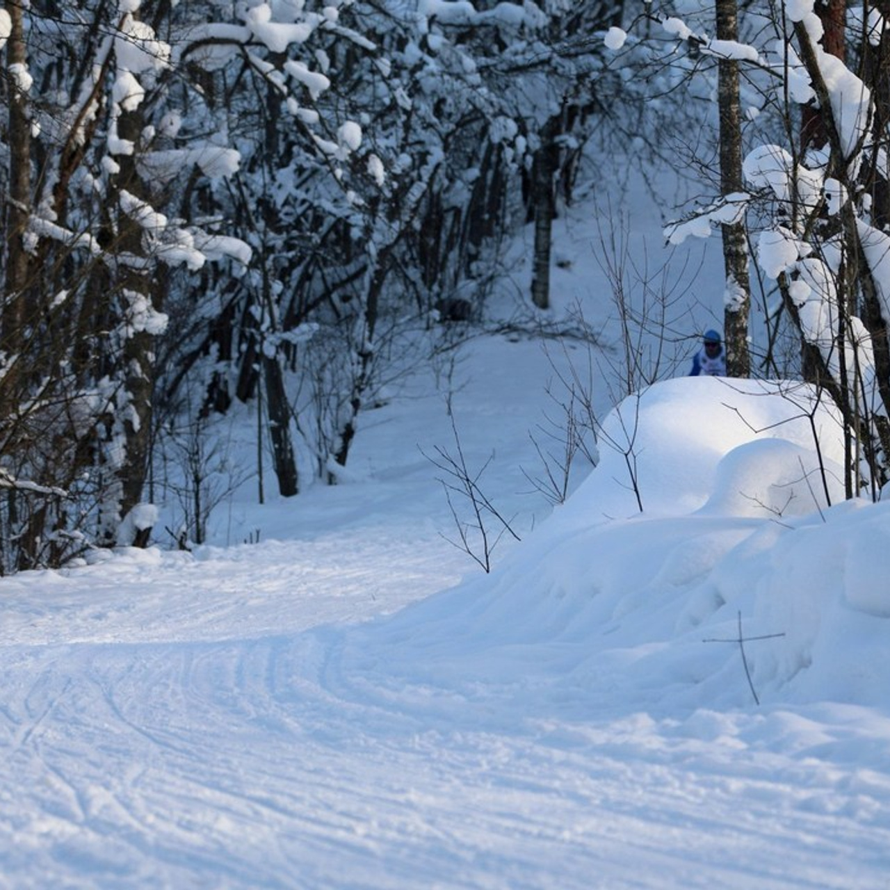 Отзывы. Irenephoto.ru