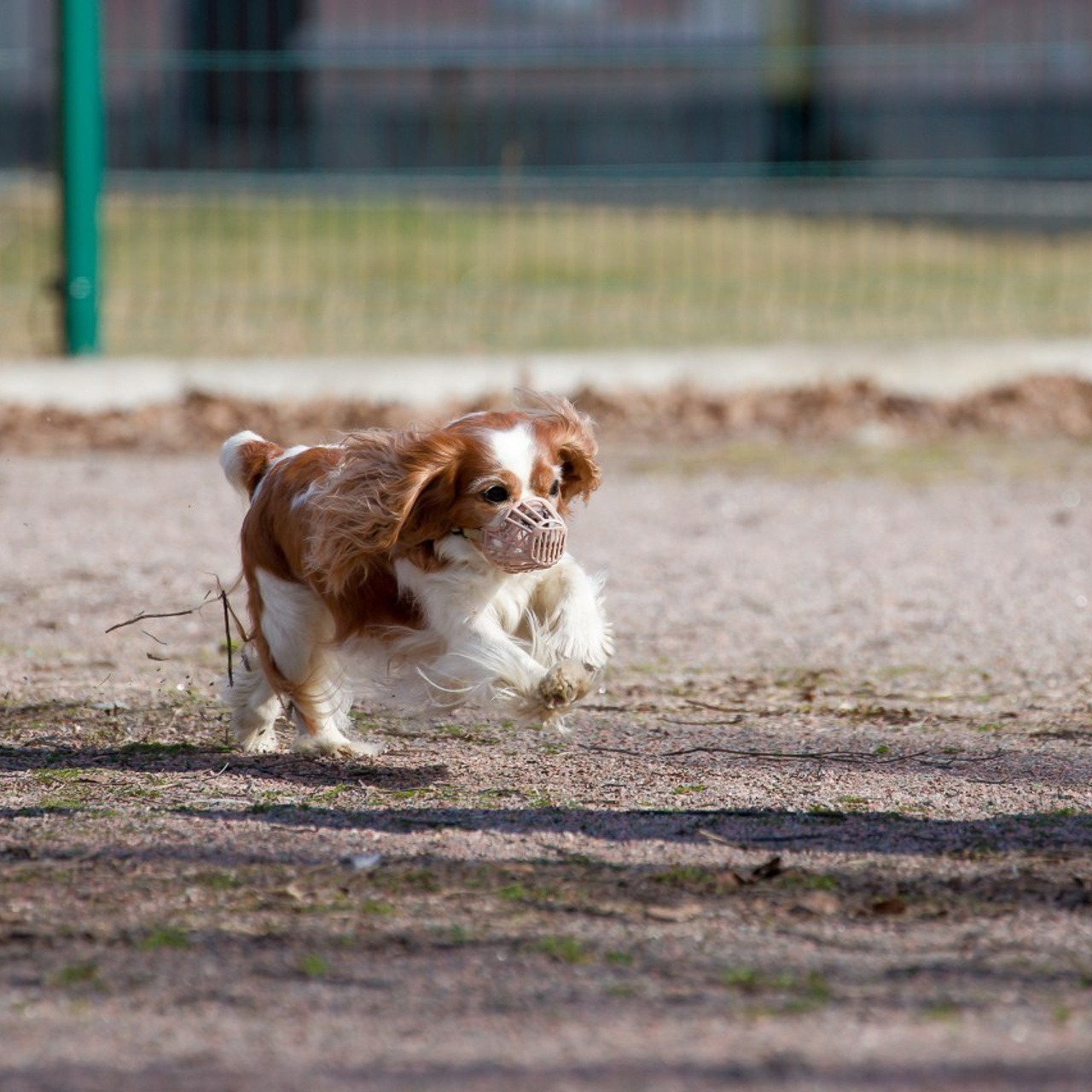 Отзывы. Irenephoto.ru