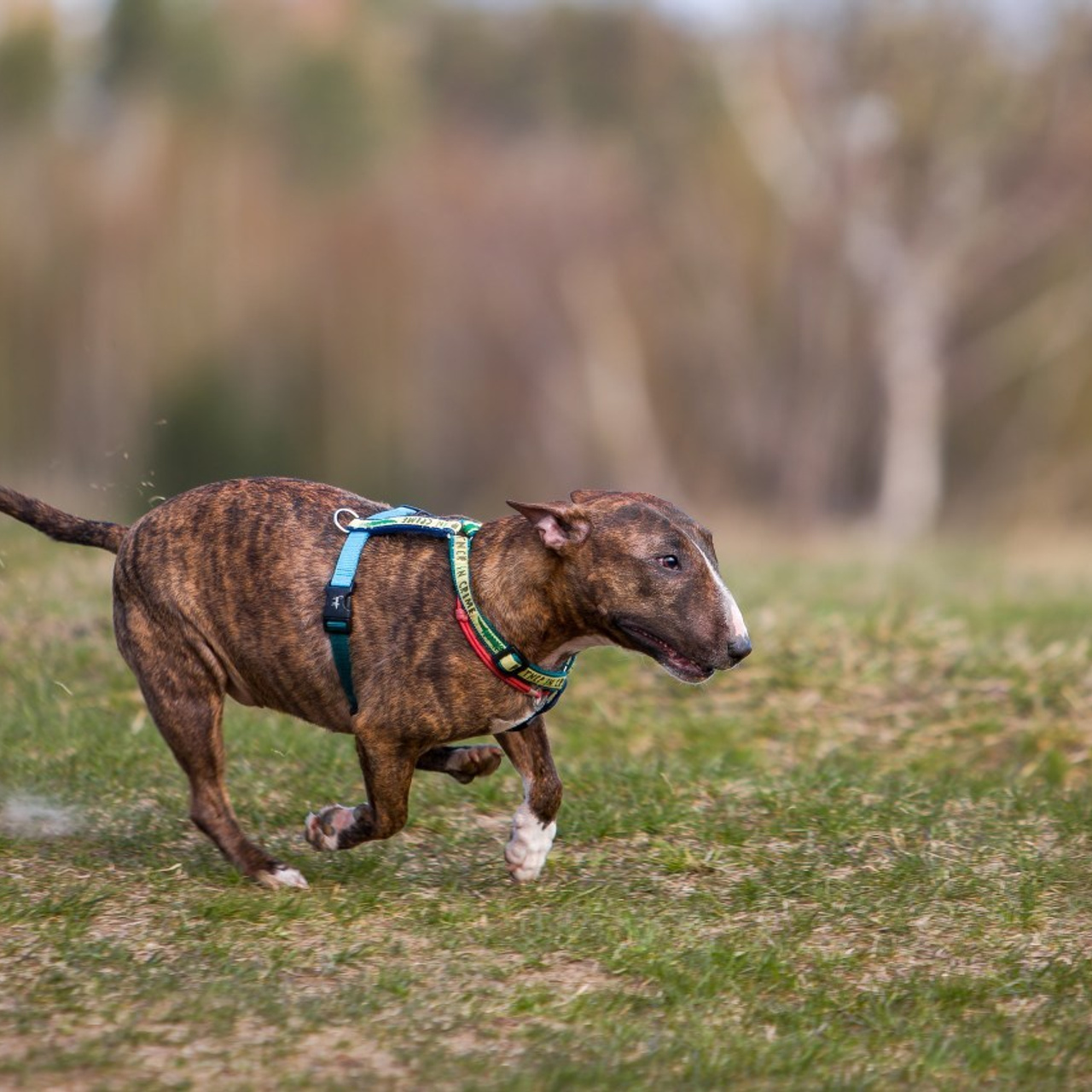 Отзывы. Irenephoto.ru