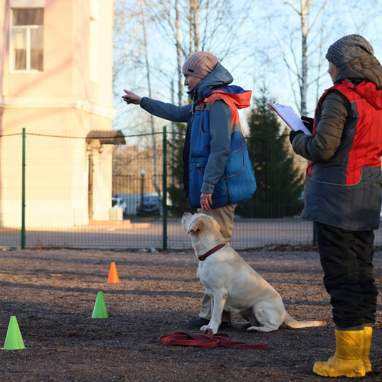 Отзывы. Irenephoto.ru