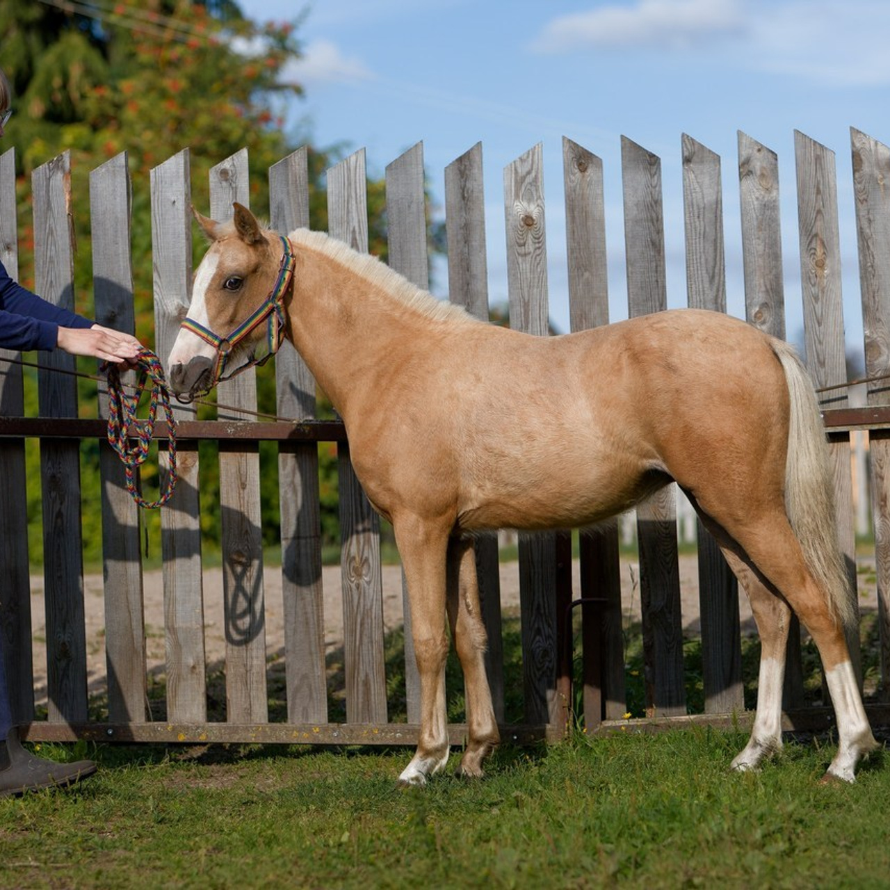 Отзывы. Irenephoto.ru