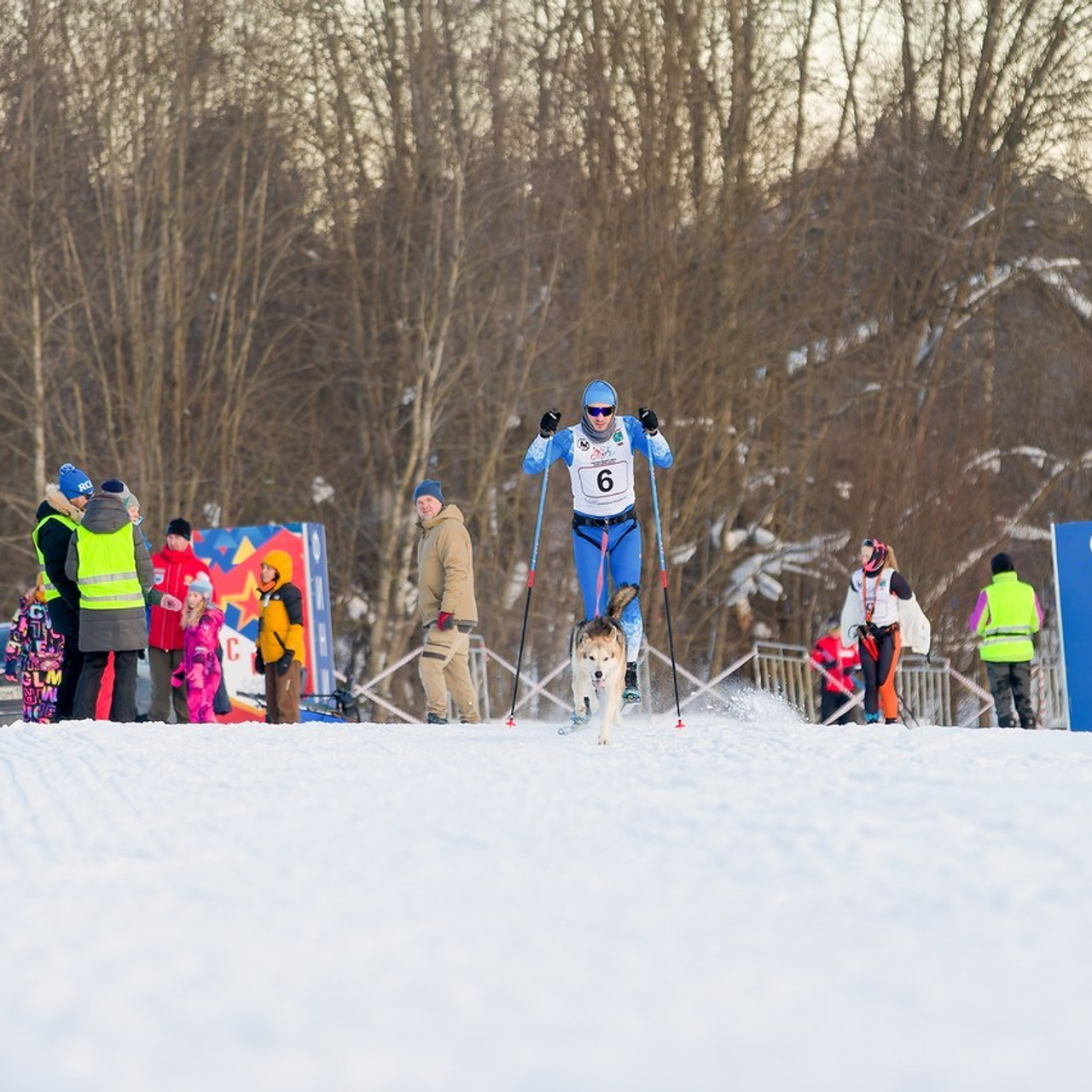 Отзывы. Irenephoto.ru