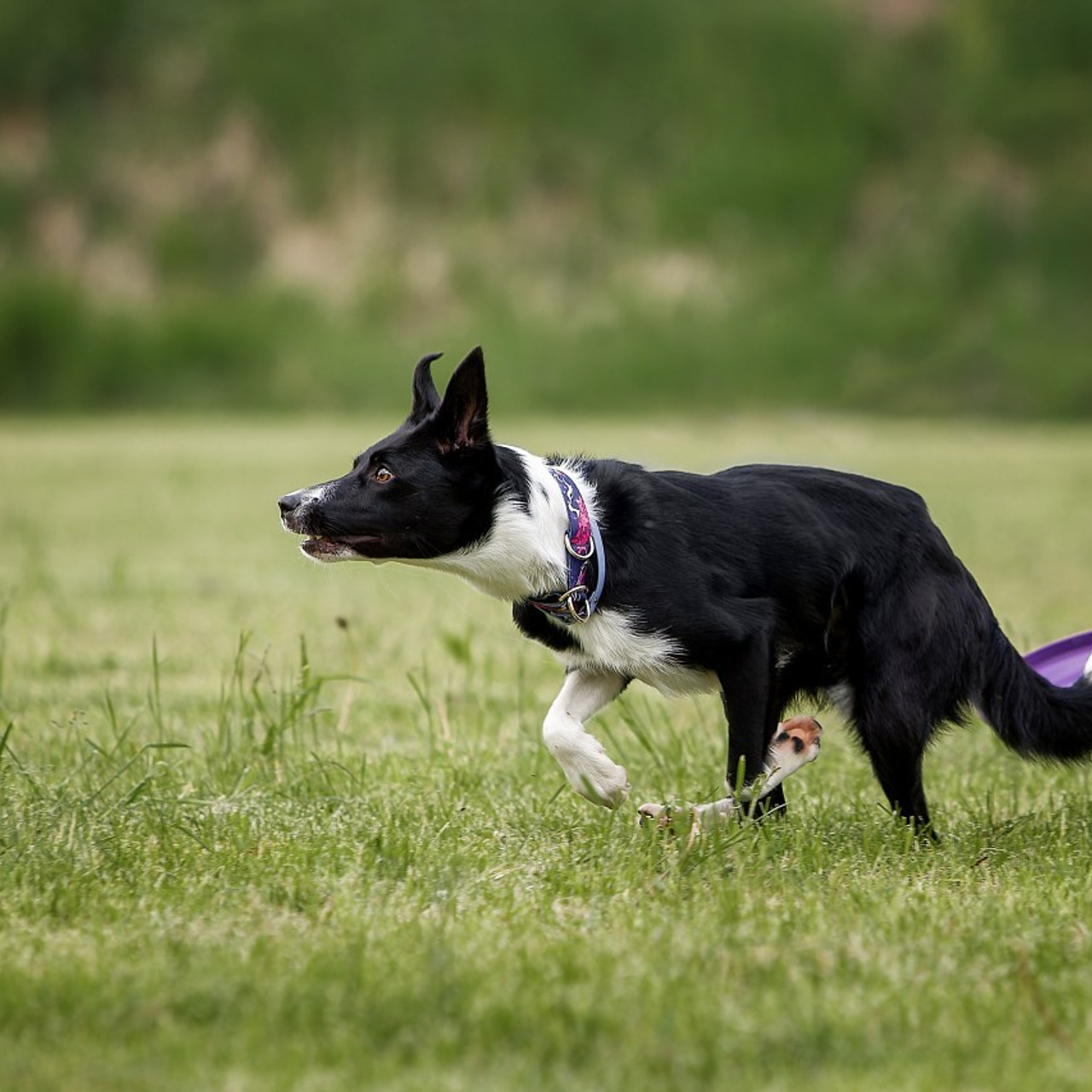 Отзывы. Irenephoto.ru