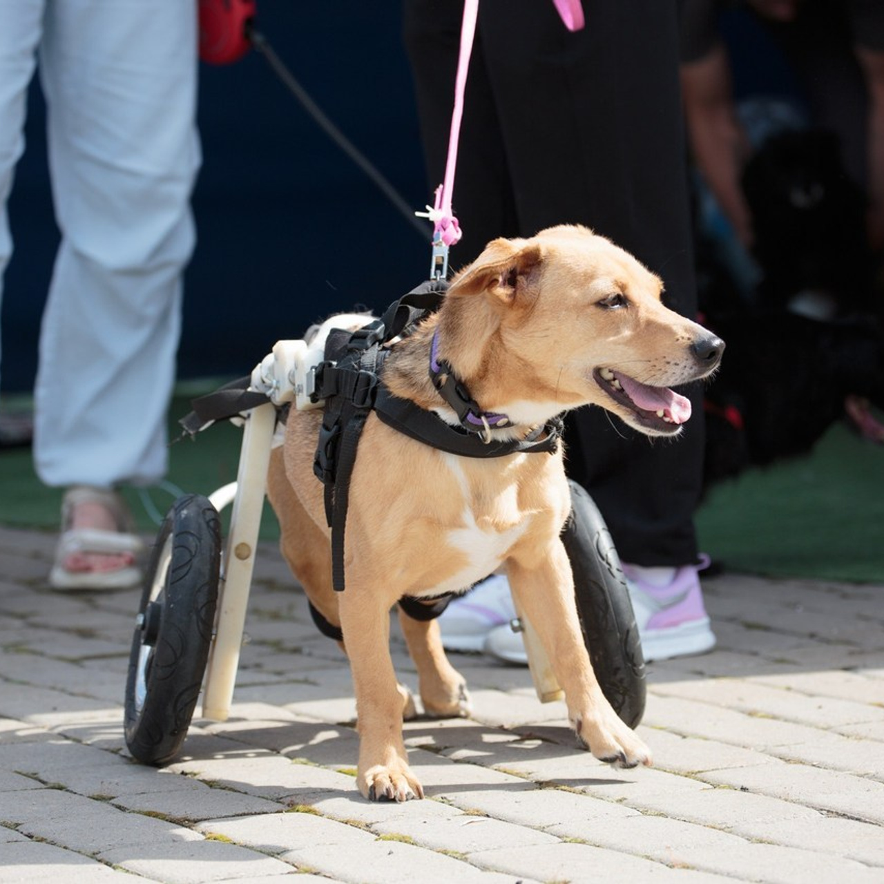 Отзывы. Irenephoto.ru