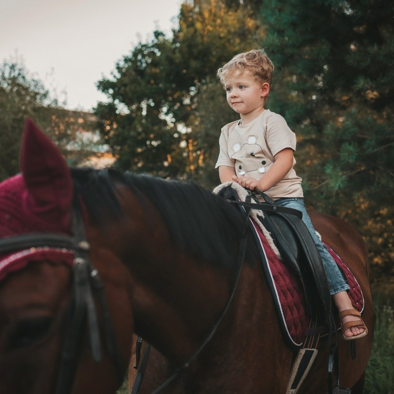 Отзывы фотограф Светлана Былова. Свадебный Церковный Семейный фотограф Светлана Былова Москва- Смоленск