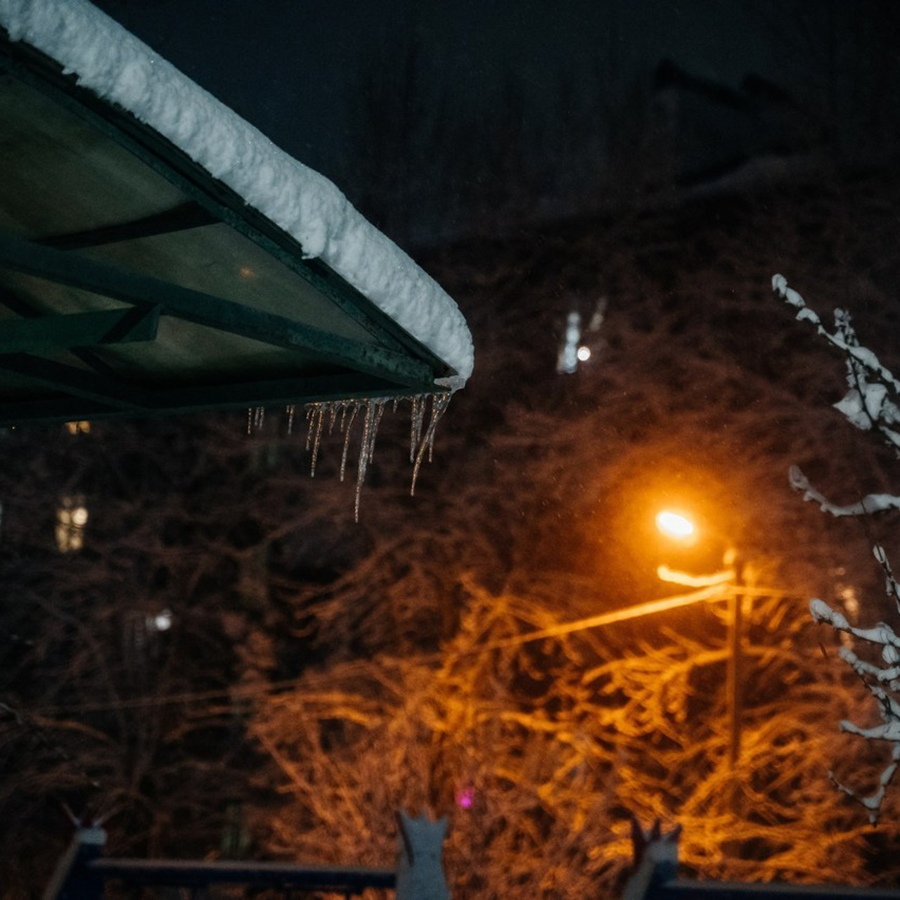 Отзывы. Фотограф Елена Рогашкова