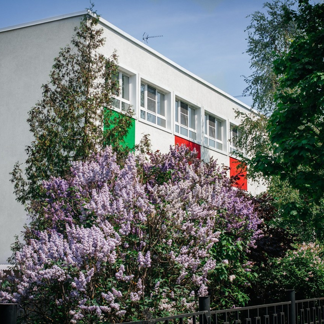 Отзывы. Фотограф Елена Рогашкова