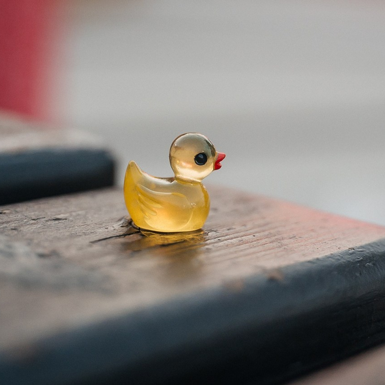 Отзывы. Фотограф Елена Рогашкова