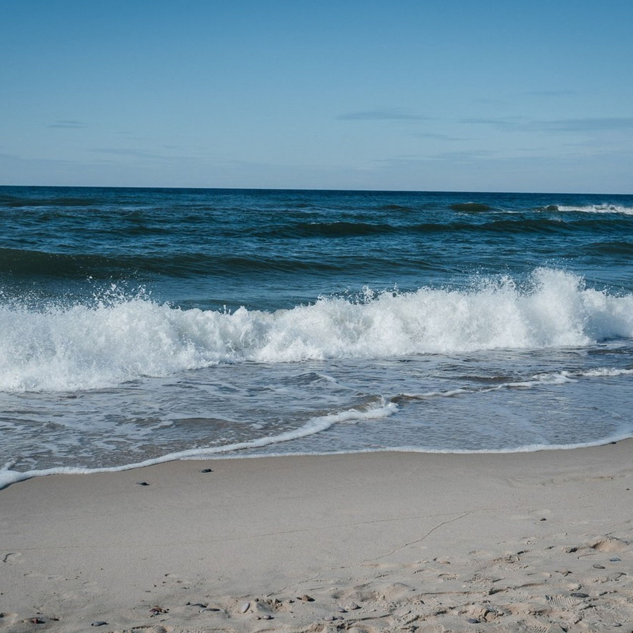 Отзывы. Фотограф Елена Рогашкова