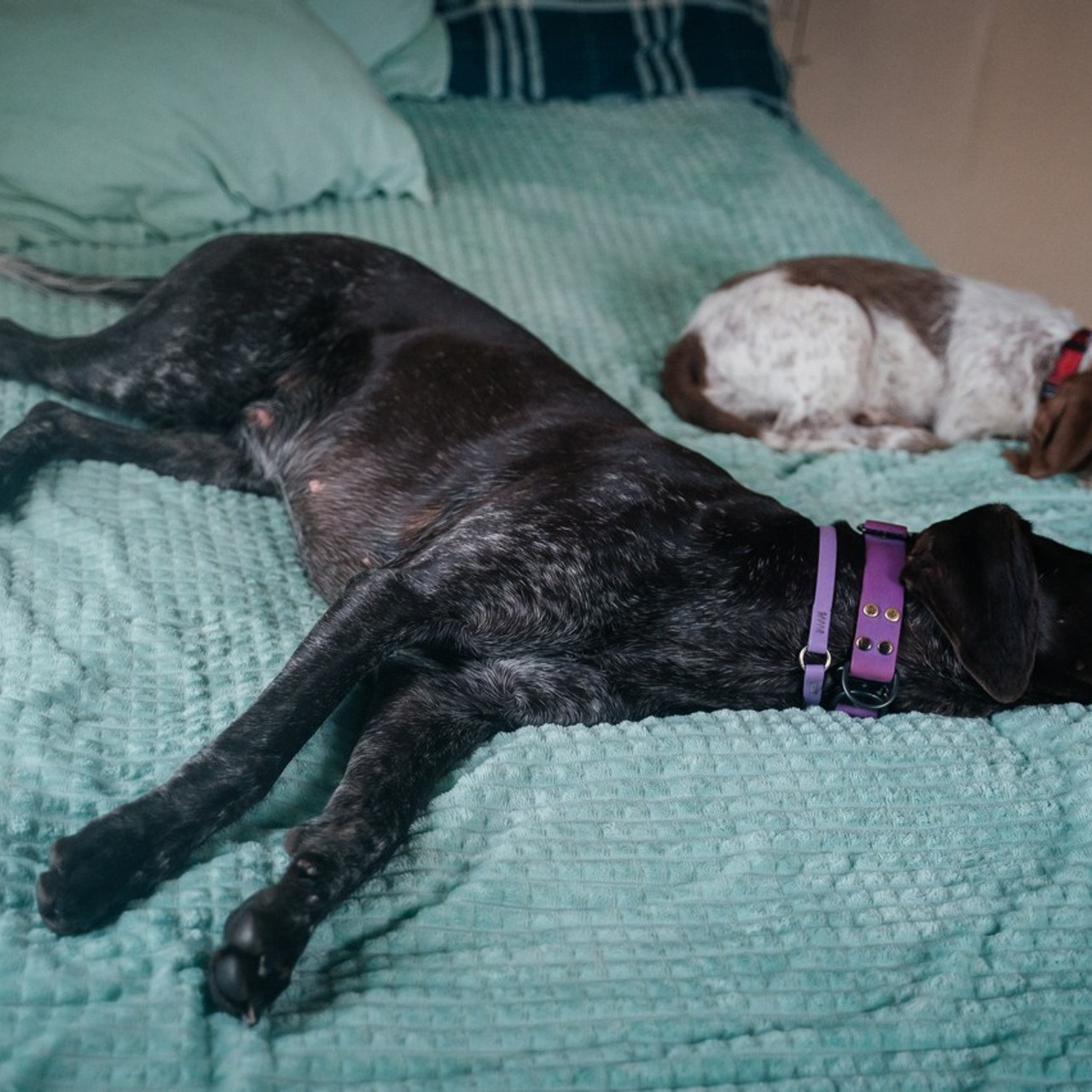 Отзывы. Фотограф Елена Рогашкова