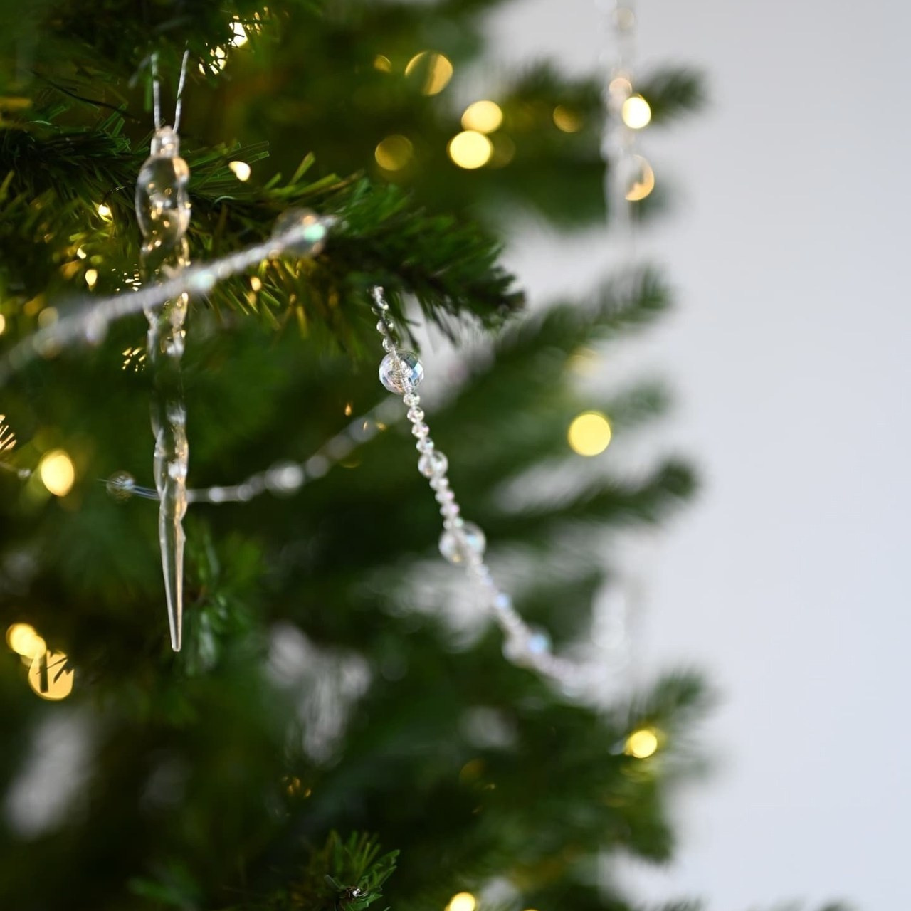 Отзывы. Фотограф Елена Рогашкова