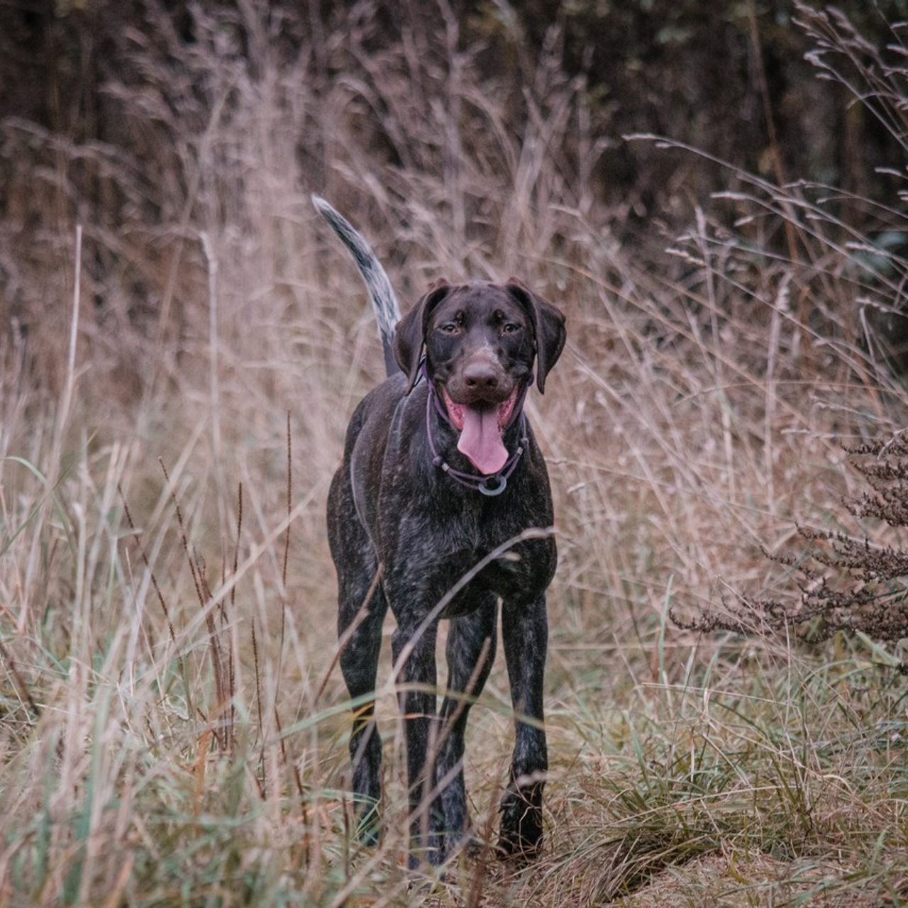 Отзывы. Фотограф Елена Рогашкова