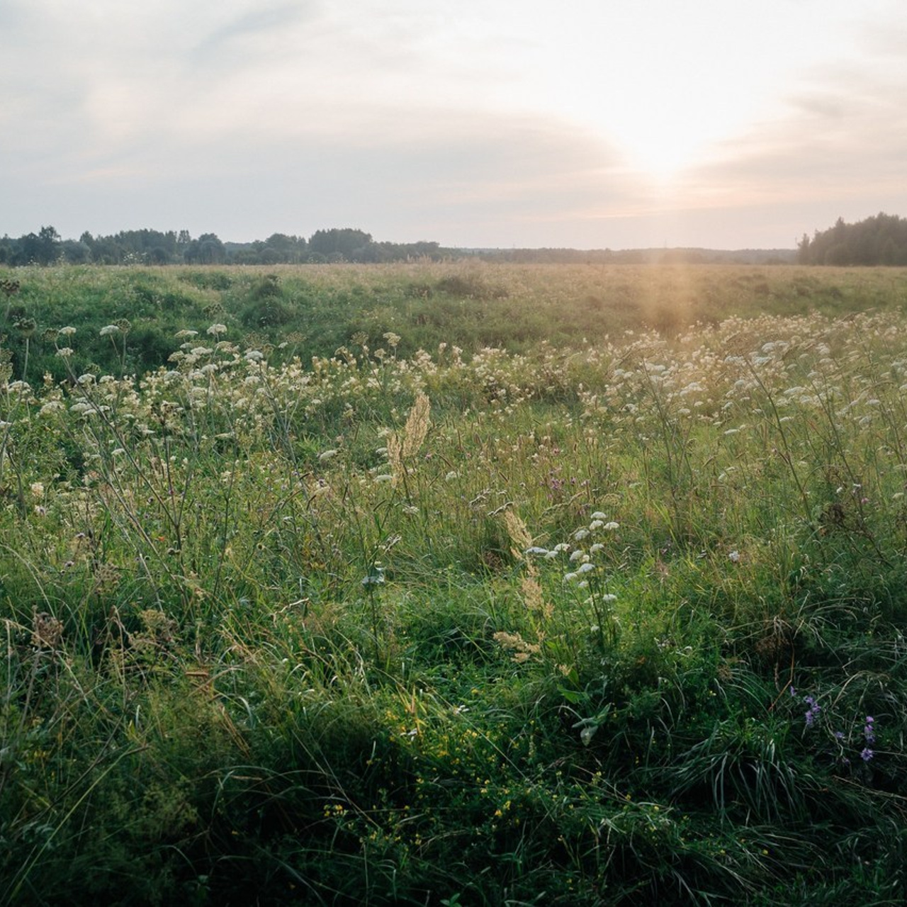 Отзывы. Фотограф Елена Рогашкова