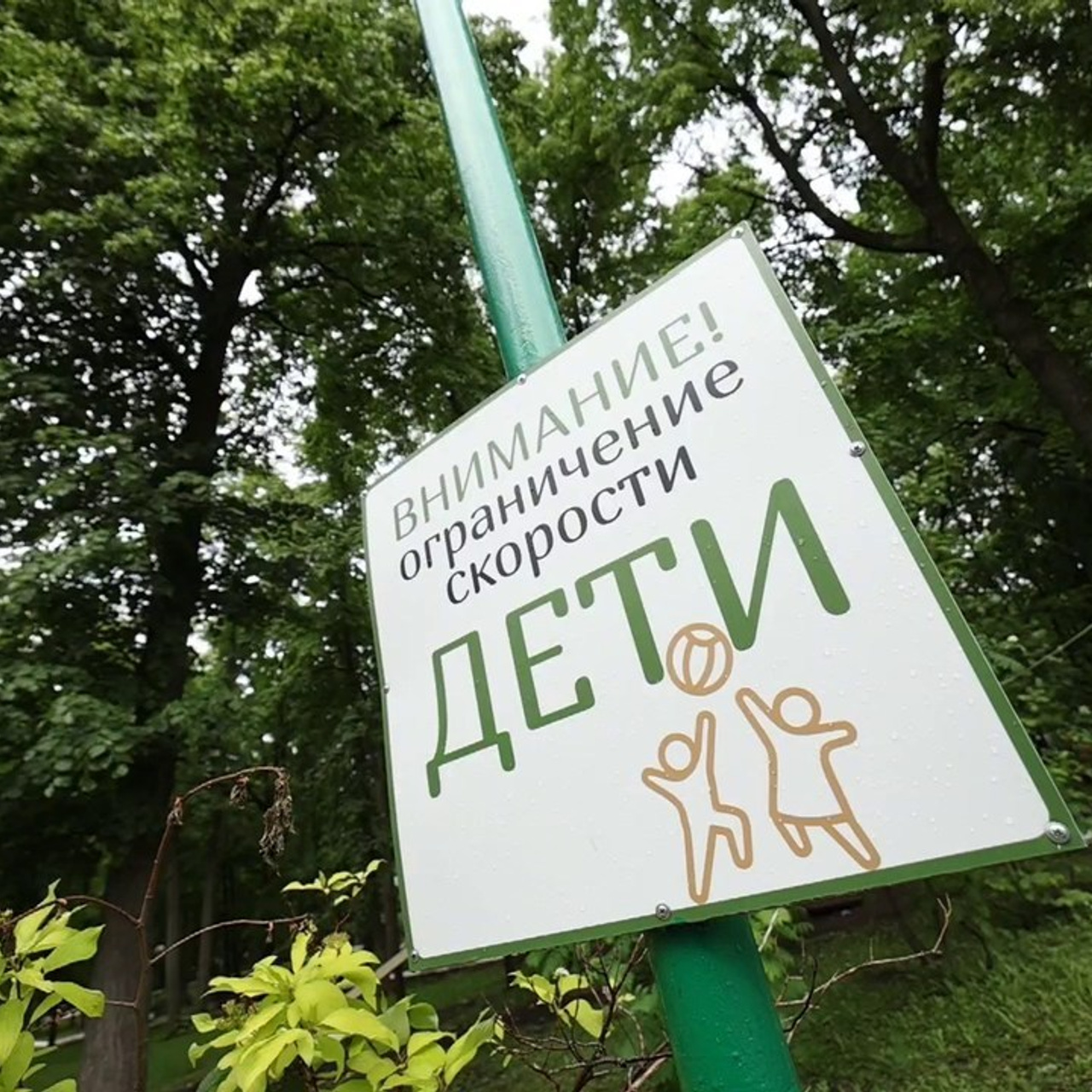 Отзывы. Супер-быстрый репортажный фотограф в Самаре Ринат Калимуллин