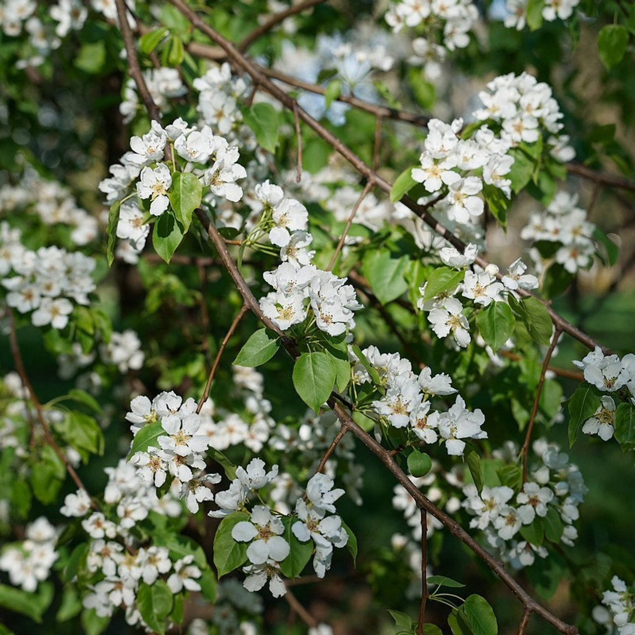 Отзывы. Репортажный фотограф в Кирове Сергей Дудин