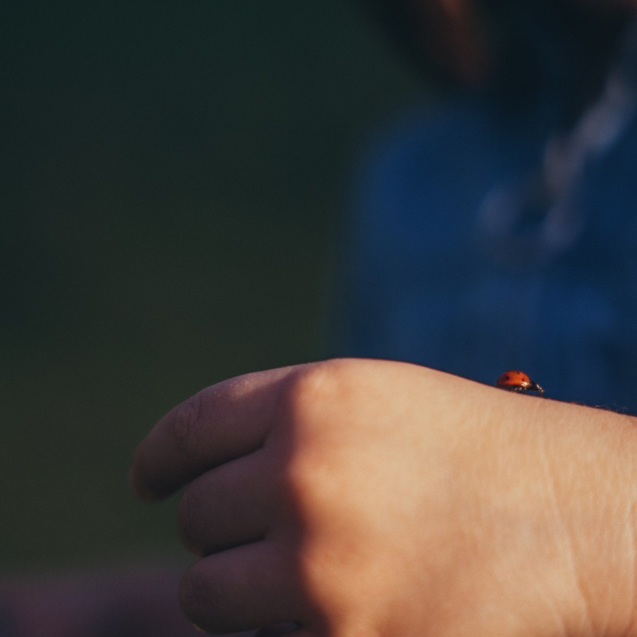 Отзывы. Семейный фотограф в Алматы Анжелика Али Номан