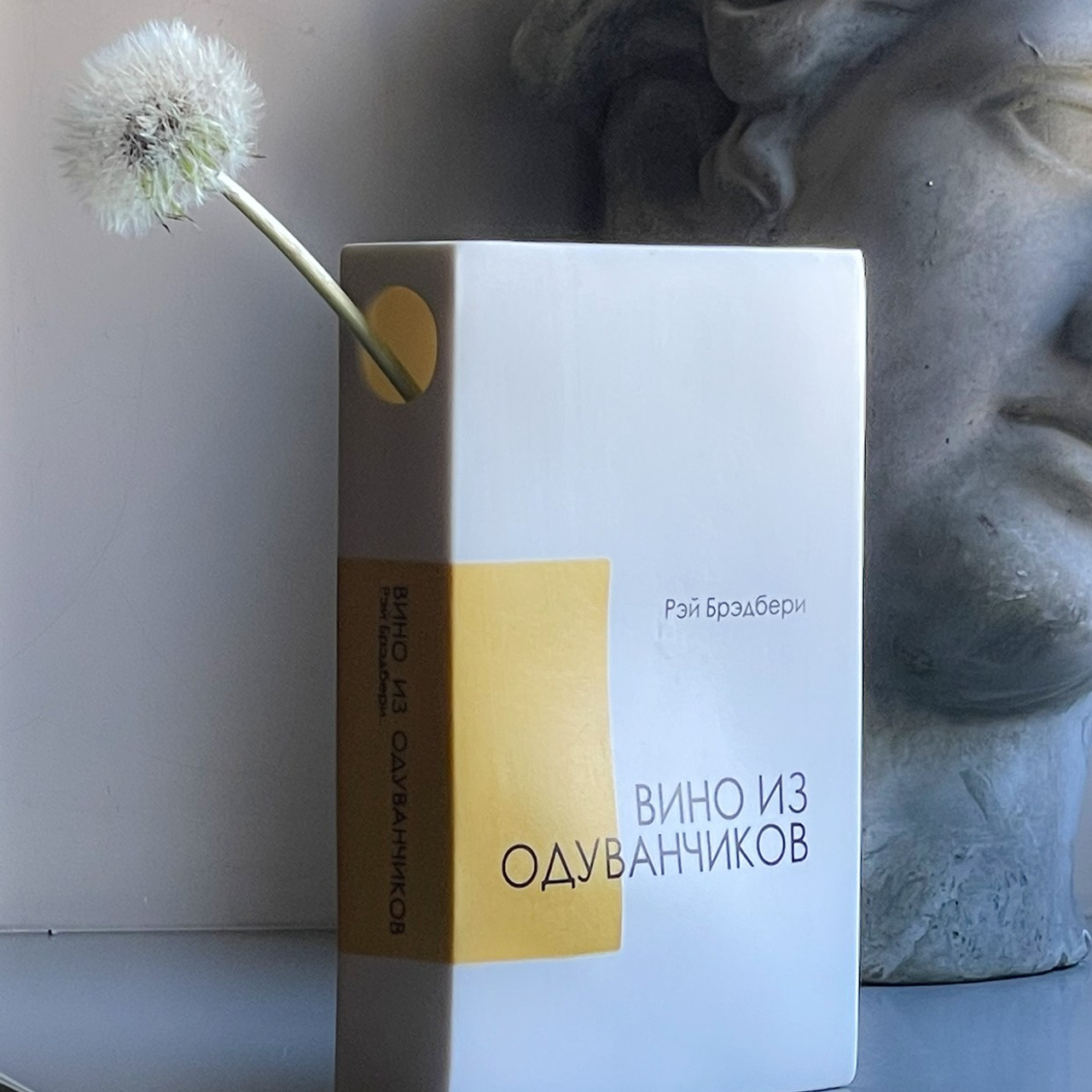 Книжный сад / book garden. Natalia Tabakova art