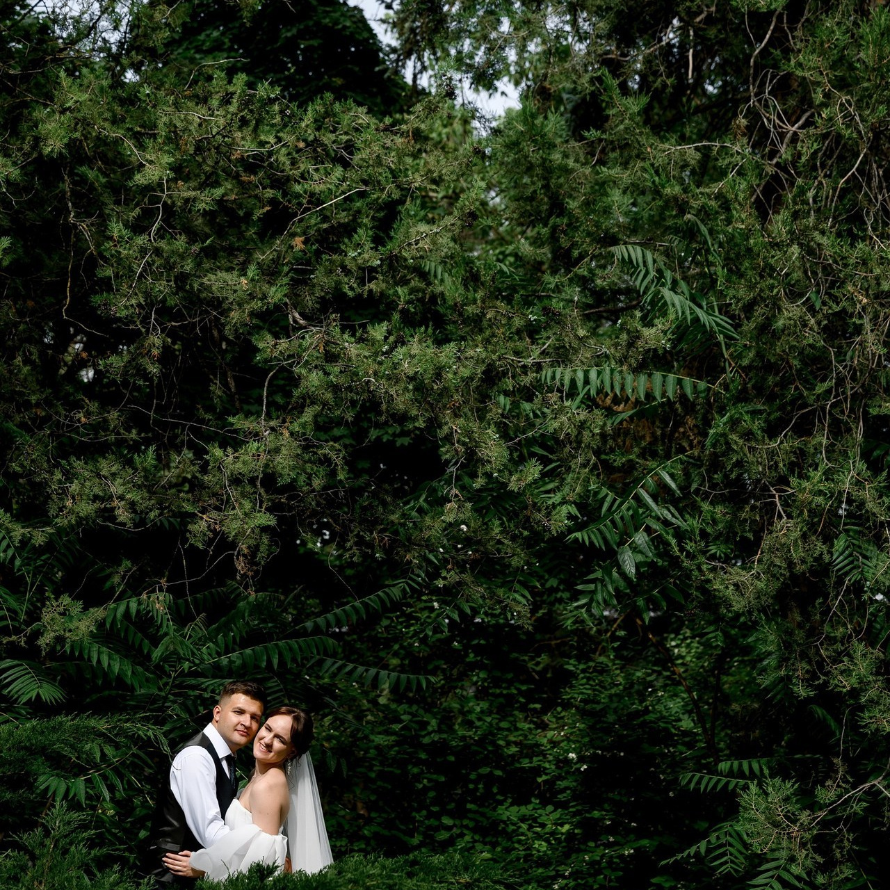 Отзывы. Свадебный и семейный фотограф в Ставрополе Роман Иванов