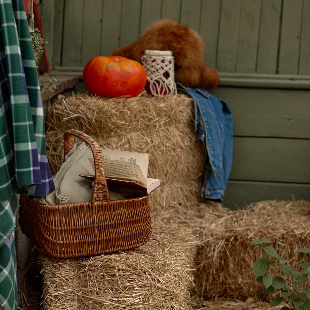 Отзывы. Женский и мужской портретный фотограф в Москве Светлана Бабурина