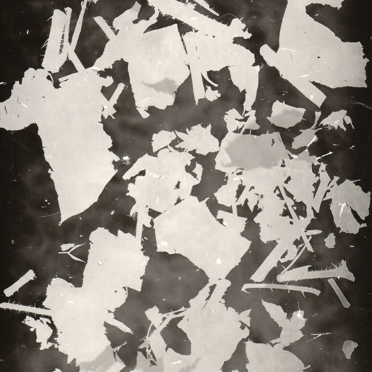 Фотограмма. Юлия Леонова — фотограф, визуальный художник Минск