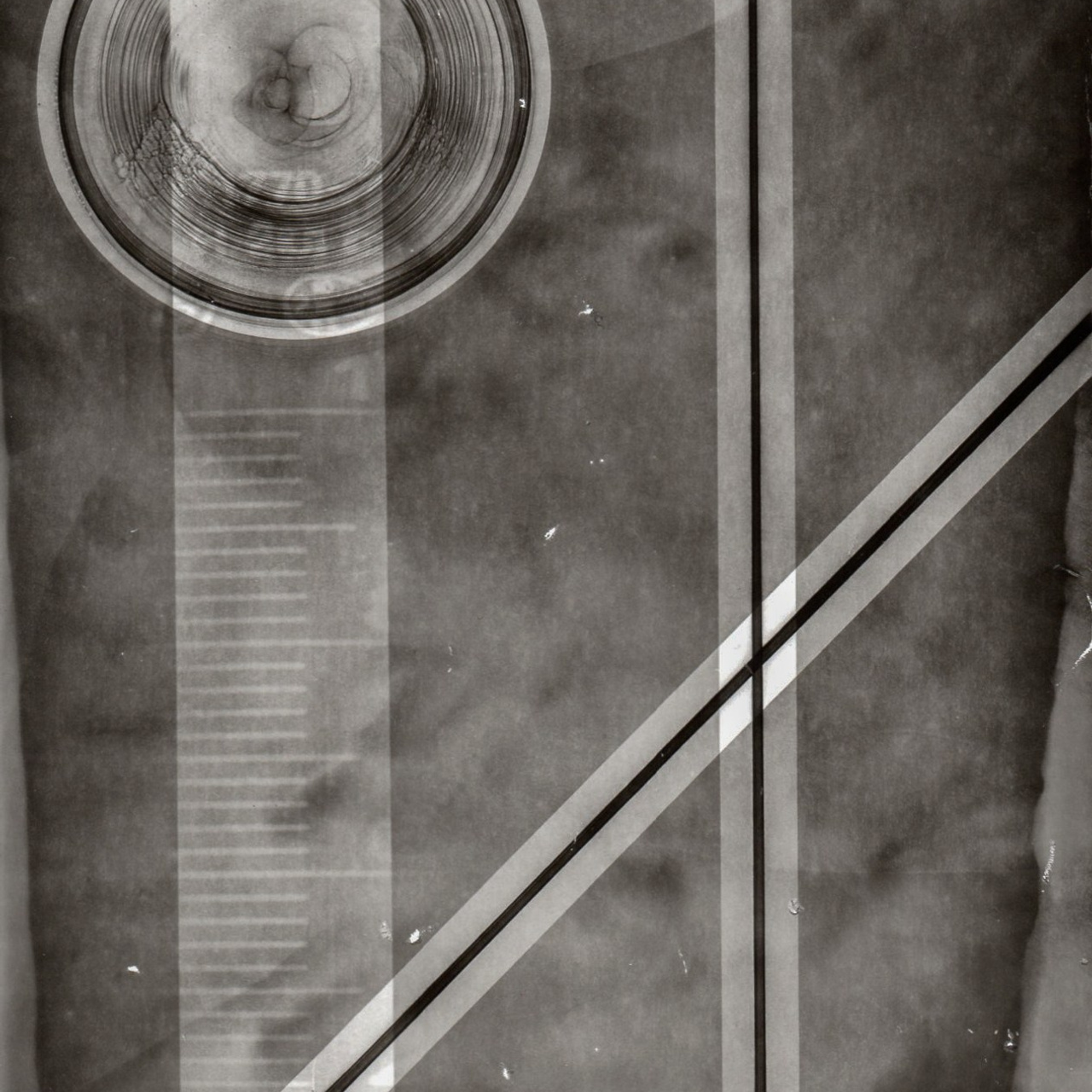 Фотограмма. Юлия Леонова — фотограф, визуальный художник Минск