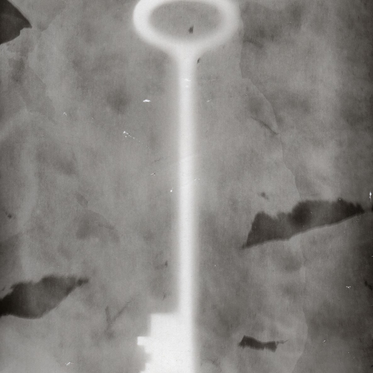 Фотограмма. Юлия Леонова — фотограф, визуальный художник Минск