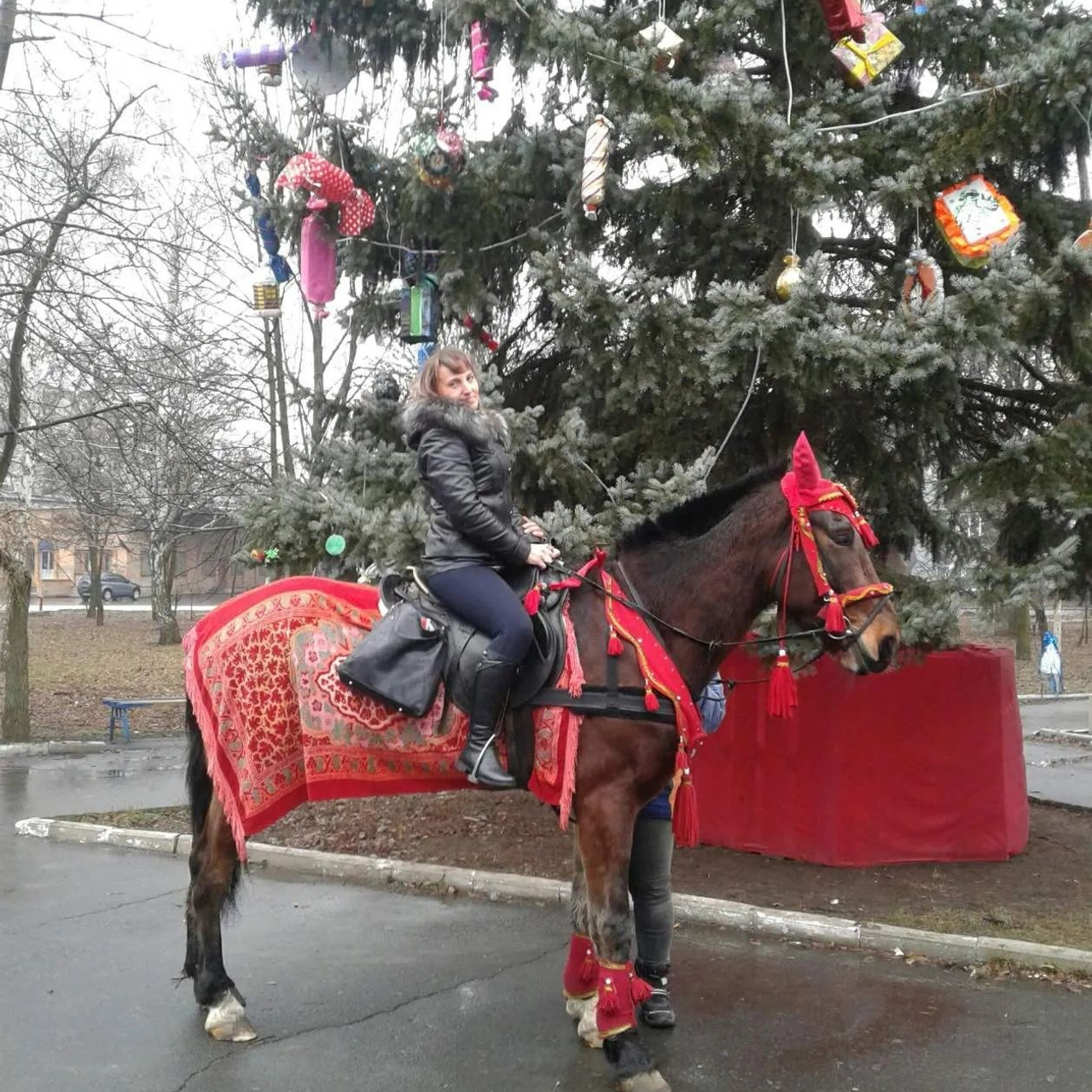 Отзывы. ENIGMA — салон пластиковых окон и дверей