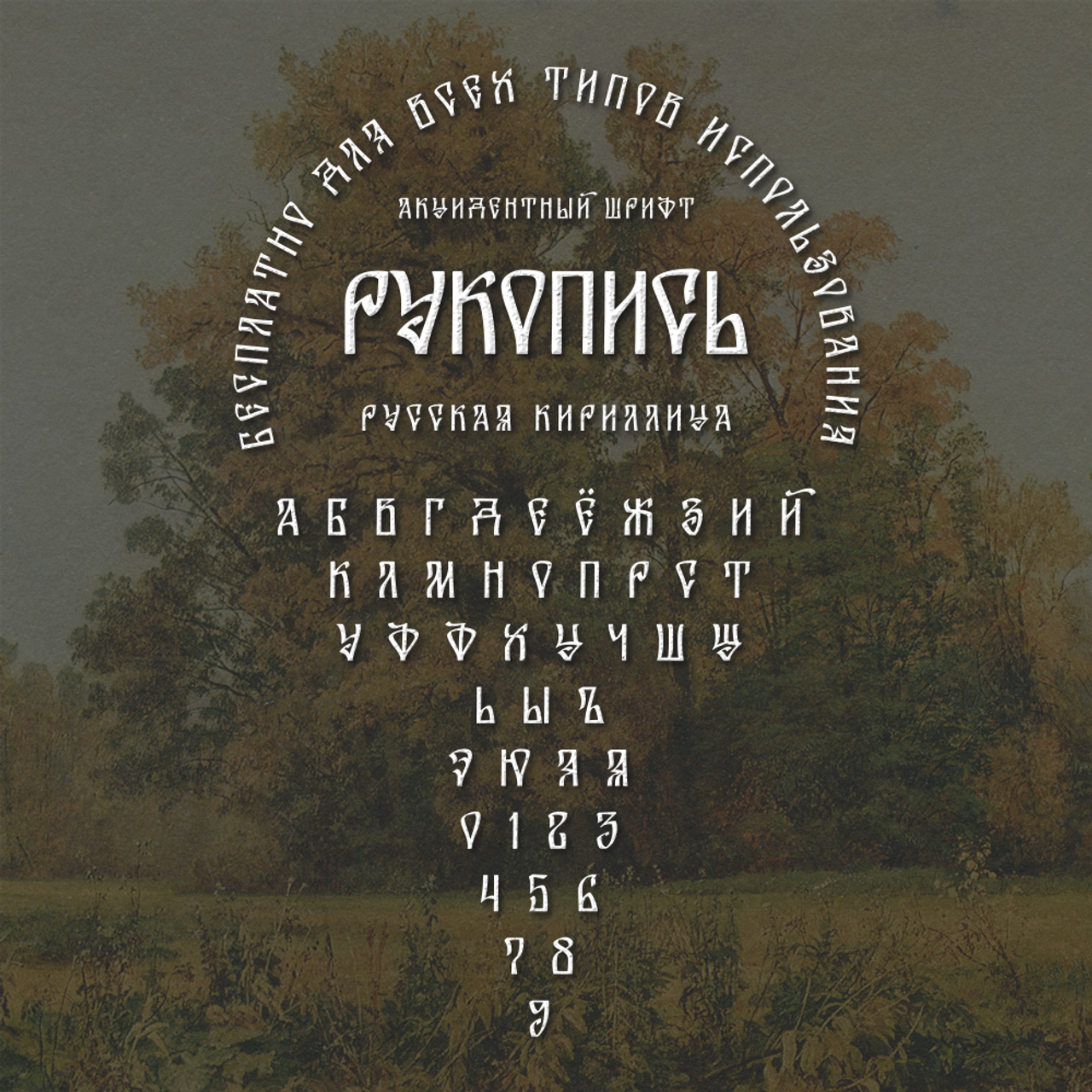 Нарисую леттеринг, принты, шрифты, логотипы