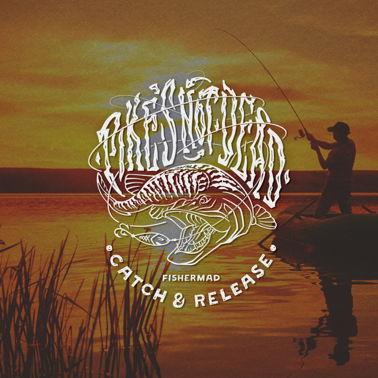 Нарисую леттеринг, принты, шрифты, логотипы