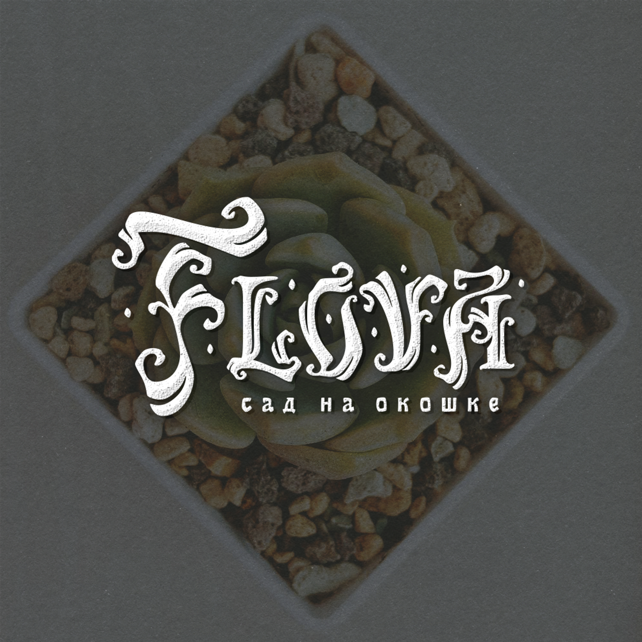 Нарисую леттеринг, принты, шрифты, логотипы