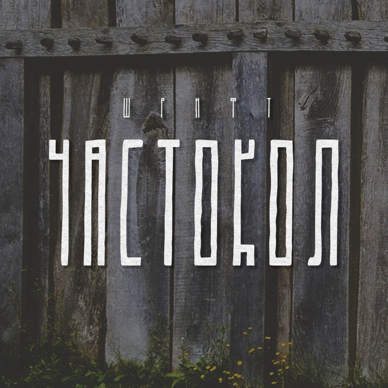 Купить все шрифты. Нарисую леттеринг, принты, шрифты, логотипы