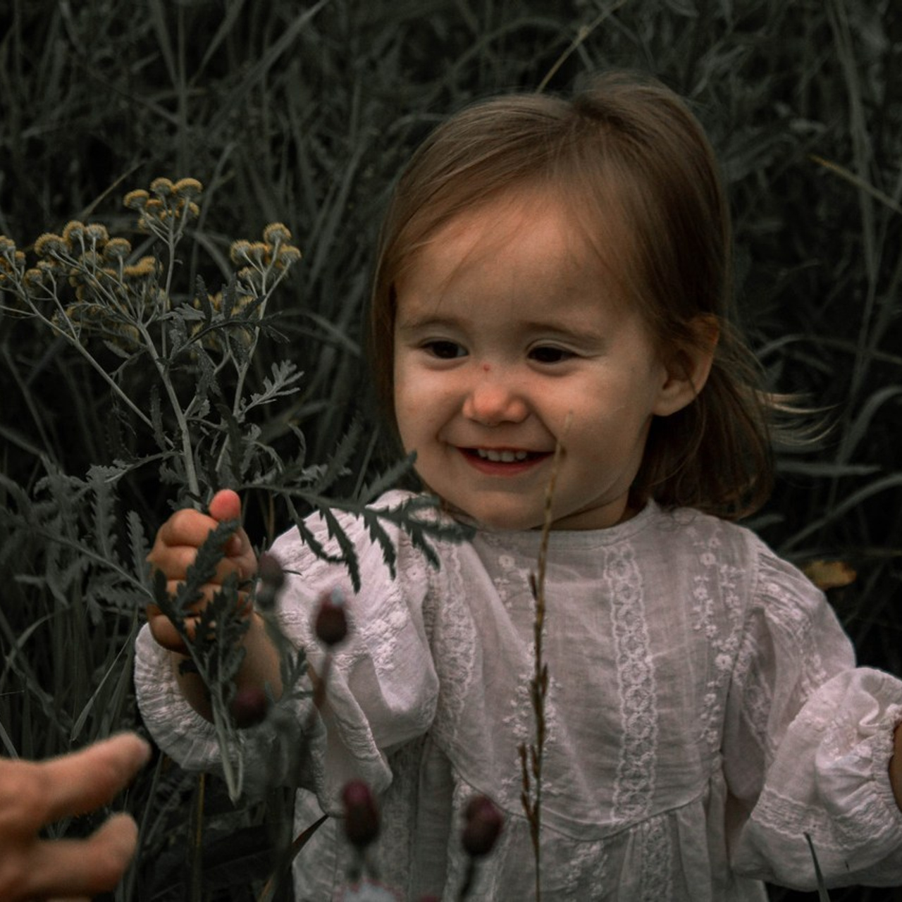 Отзывы. Карпогоры, Санкт-Петербург