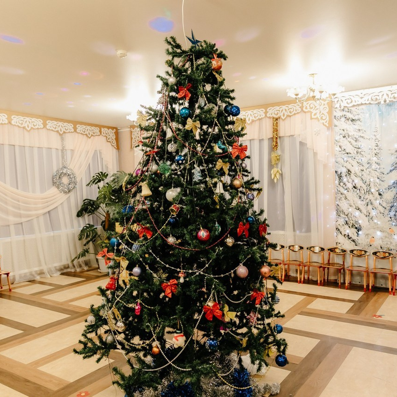 Отзывы. Семейный фотограф Хабаровск