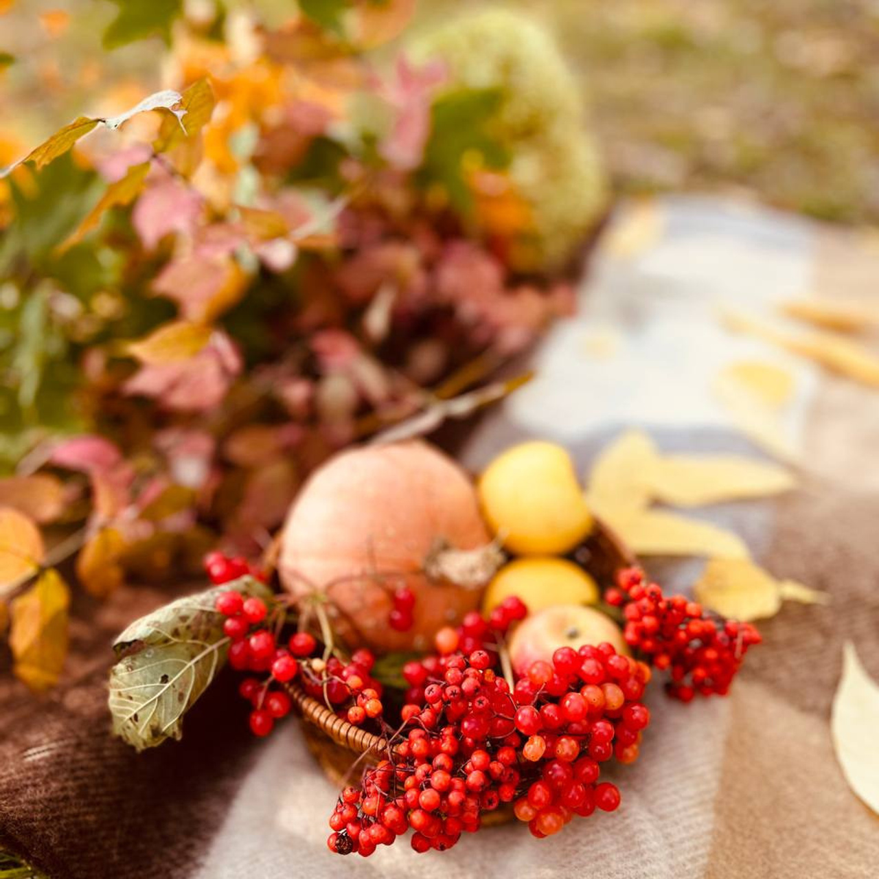 Отзывы. Семейный фотограф Хабаровск