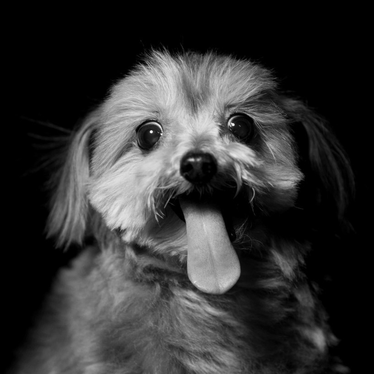 Отзывы о работе фотографа и преподавателя фотографии Николая Казакова. Николай Казаков. Профессиональный фотограф. Преподаватель фотографии