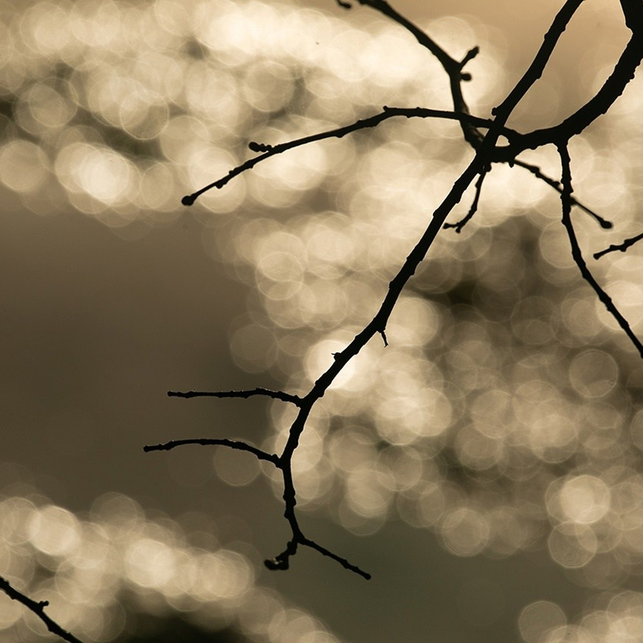 Отзывы о работе фотографа и преподавателя фотографии Николая Казакова. Николай Казаков. Профессиональный фотограф. Преподаватель фотографии