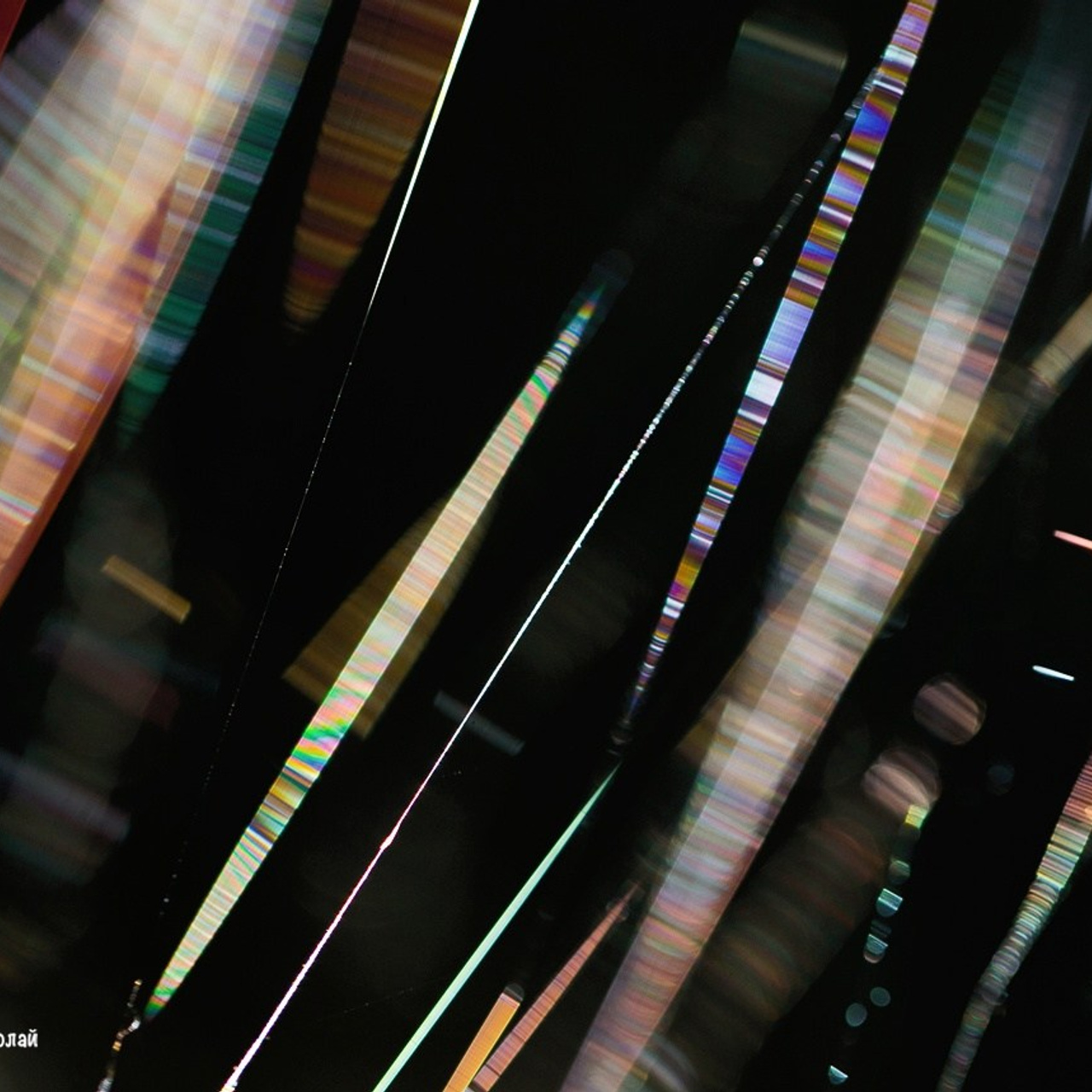 Отзывы о работе фотографа и преподавателя фотографии Николая Казакова. Николай Казаков. Профессиональный фотограф. Преподаватель фотографии