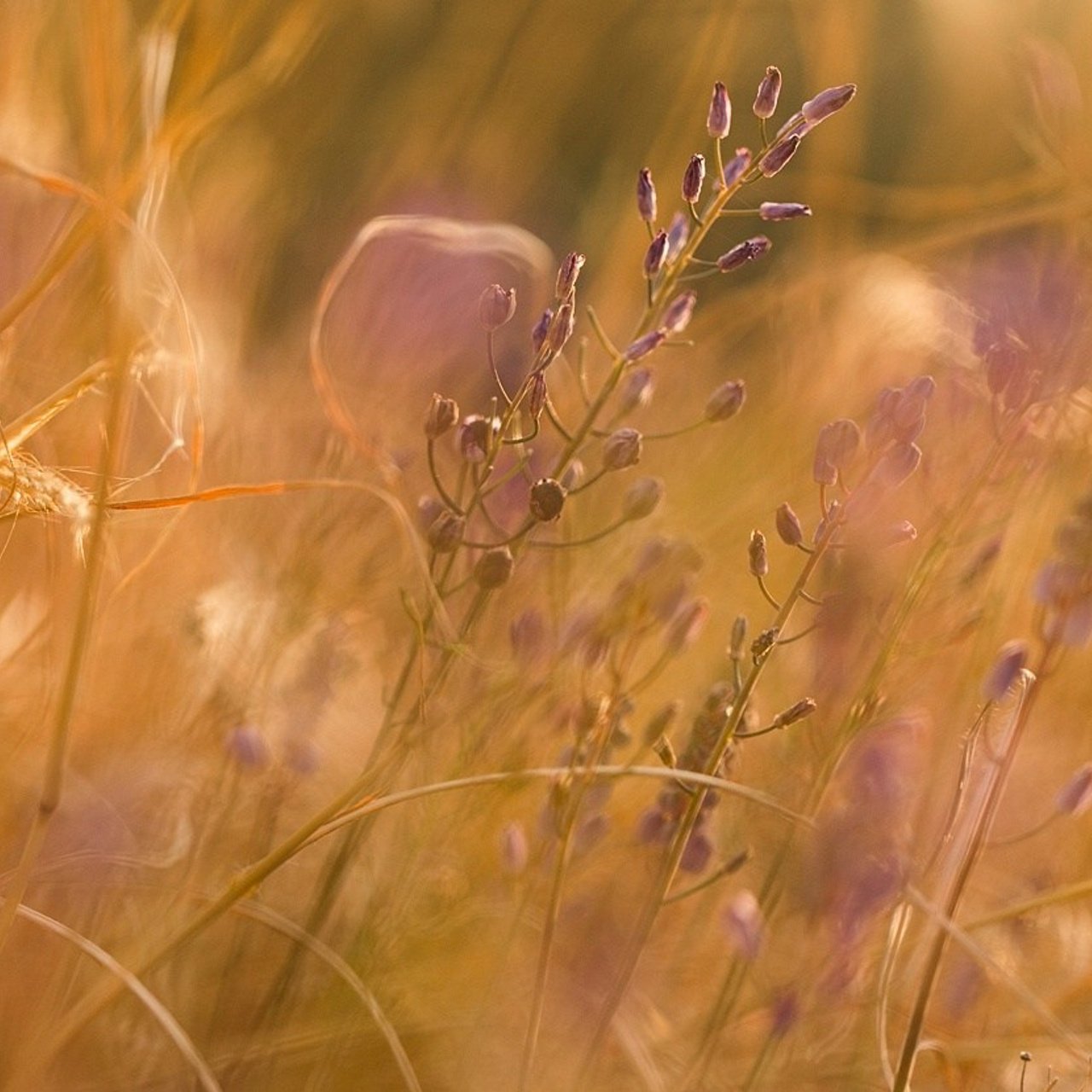 Отзывы о работе фотографа и преподавателя фотографии Николая Казакова. Николай Казаков. Профессиональный фотограф. Преподаватель фотографии