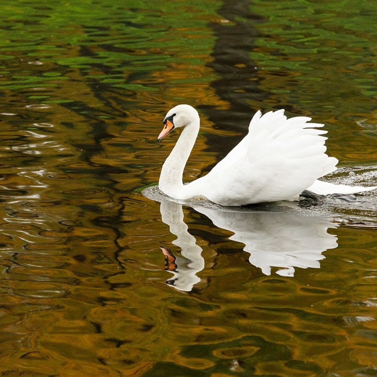 Отзывы о работе фотографа и преподавателя фотографии Николая Казакова. Николай Казаков. Профессиональный фотограф. Преподаватель фотографии