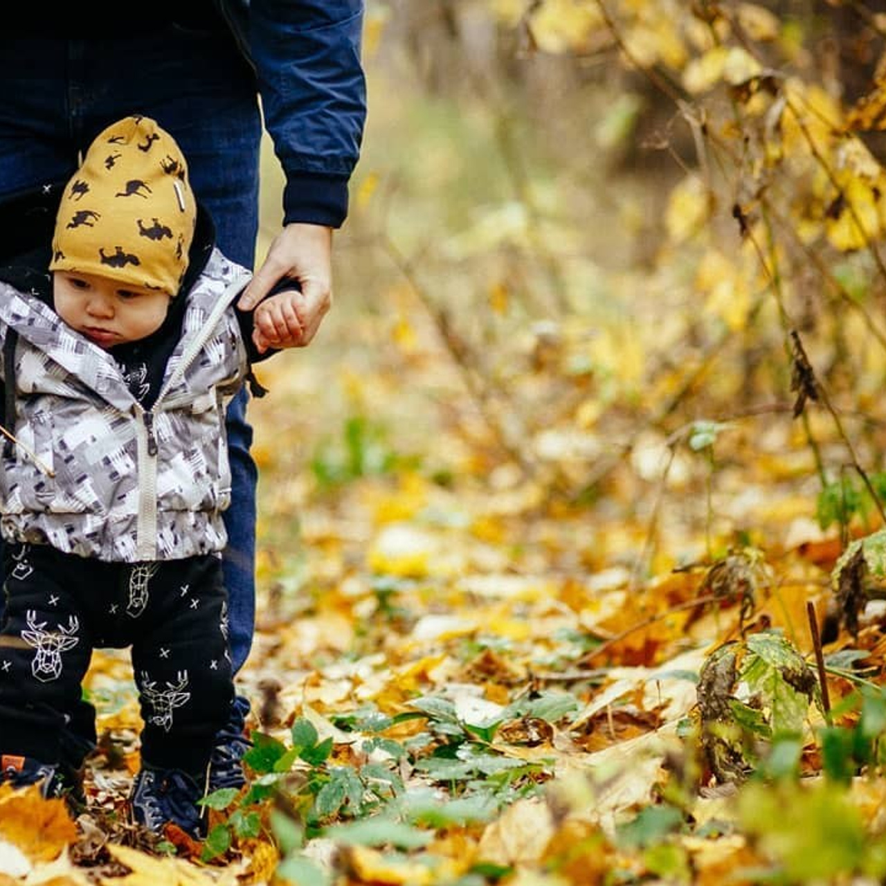 Осенняя прогулка