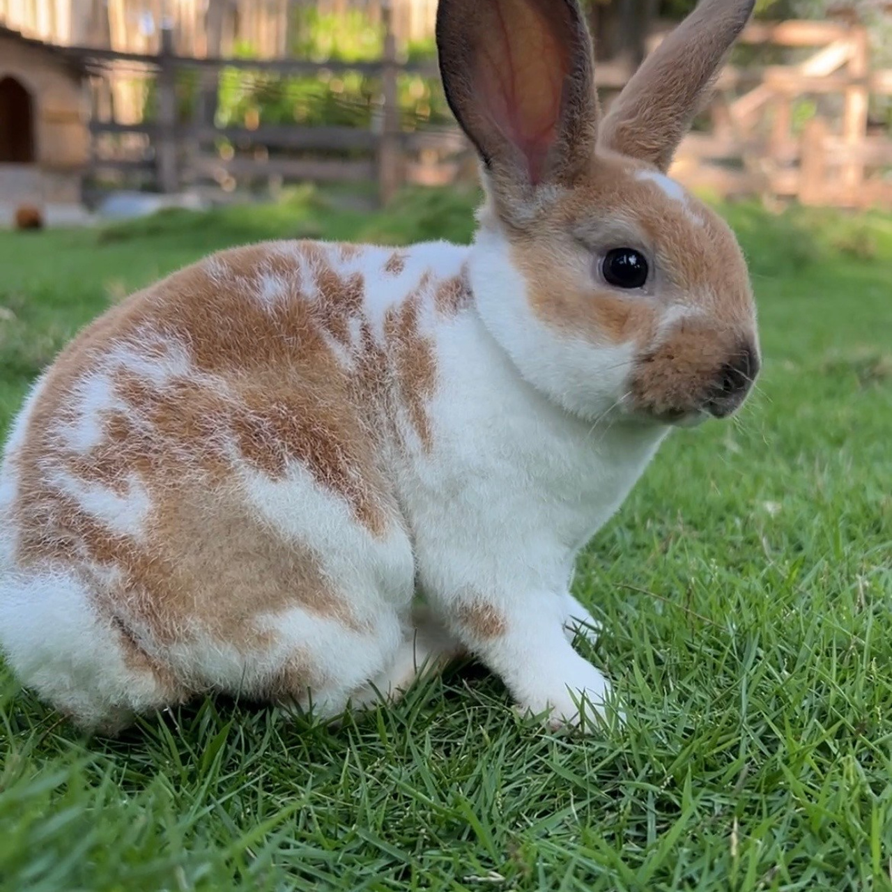 Лучшие локации для фотосессий в Муйне и Вьетнаме | Фотограф Kartashow. Фотограф Владимир Карташов | Фотосессия в Муйне, Фантьете, Вьетнаме