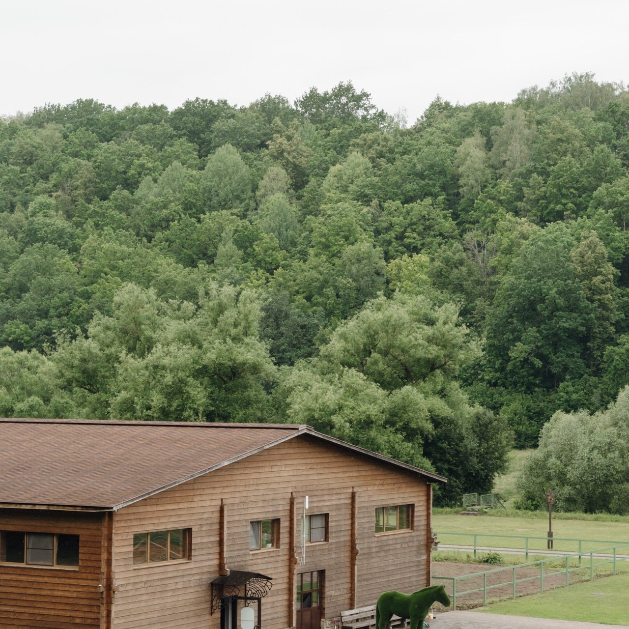 Отзывы. Свадебный Фотограф в Коломне и Москве Николай Максименко