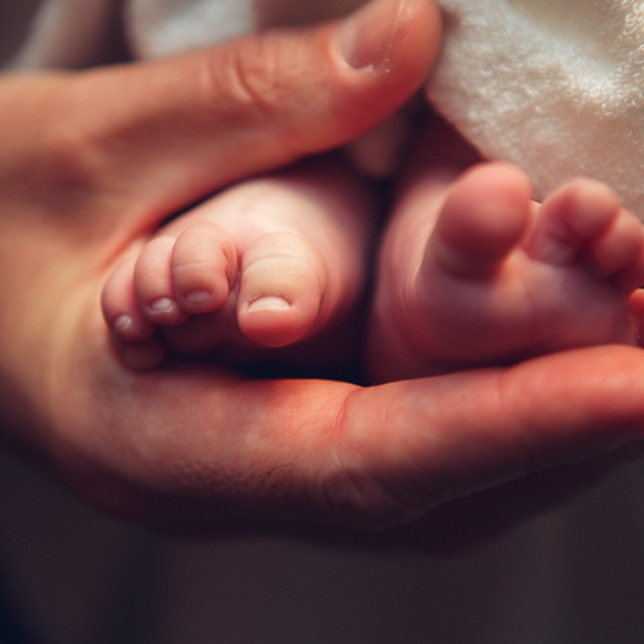 фотограф на крестины