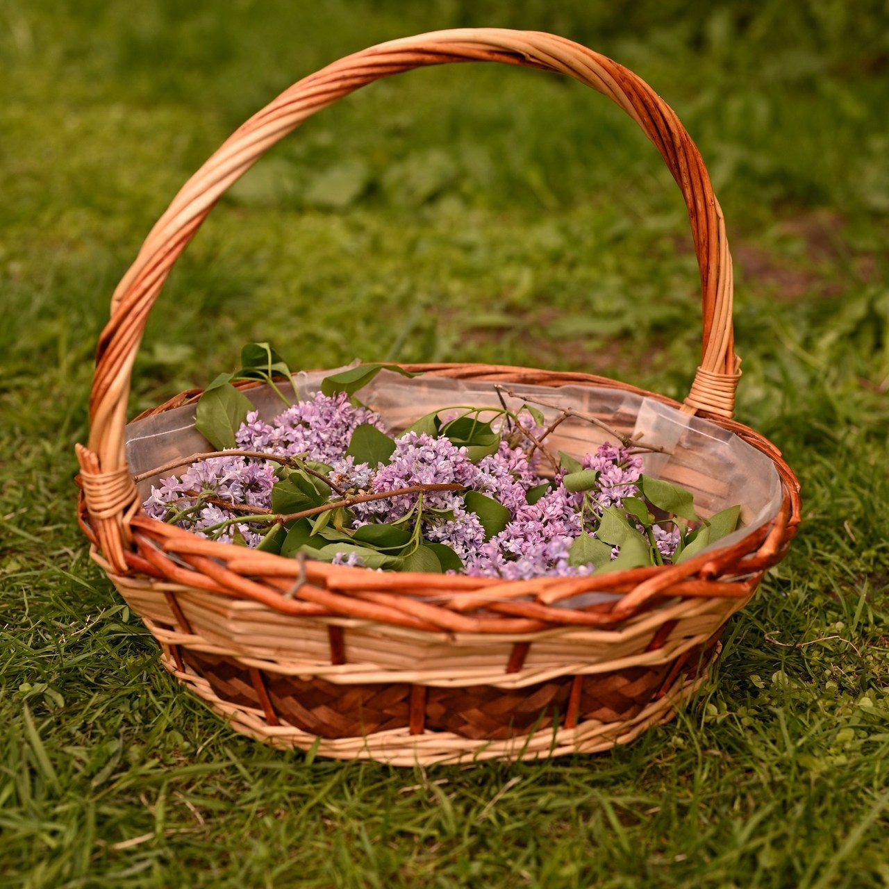 Отзывы о семейном фотографе Оксане Яковлевой