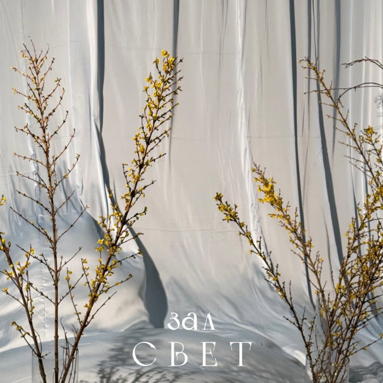 Фотостудия МОХ зал Свет