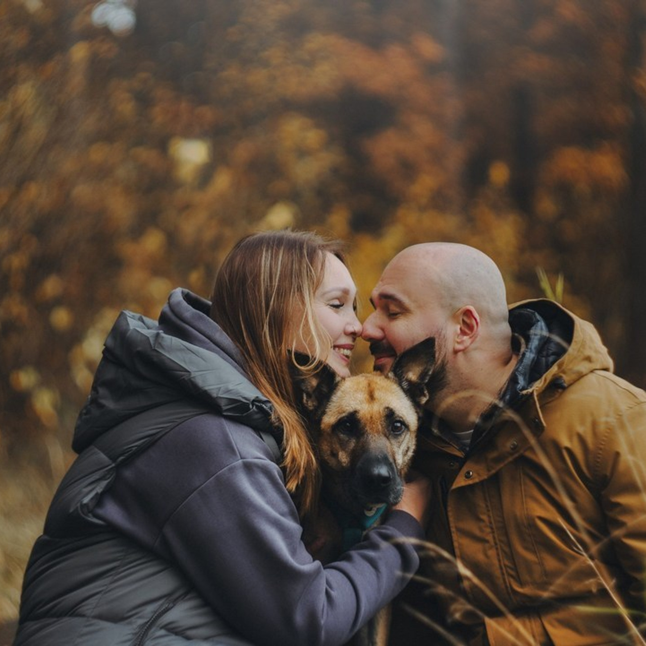 Отзывы. Фотограф анималист в Москве и Санкт-Петербурге Свиридова Анна