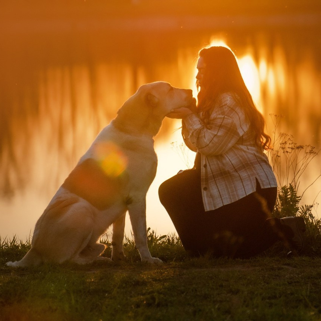 Отзывы. Фотограф анималист в Москве и Санкт-Петербурге Свиридова Анна