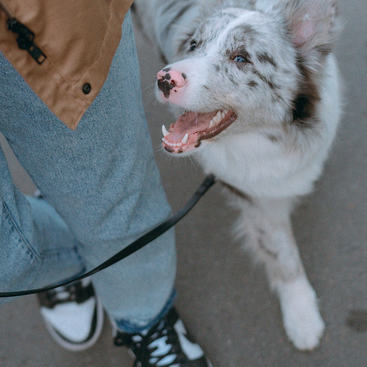 Света, Катрин и Умка