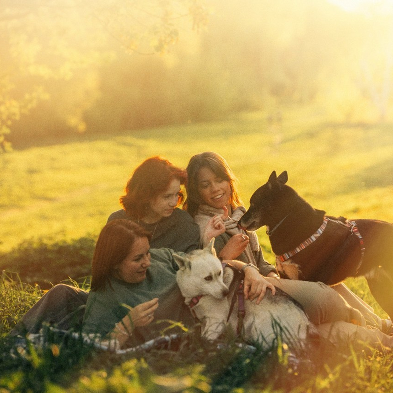 Отзывы. Фотограф анималист в Москве и Санкт-Петербурге Свиридова Анна