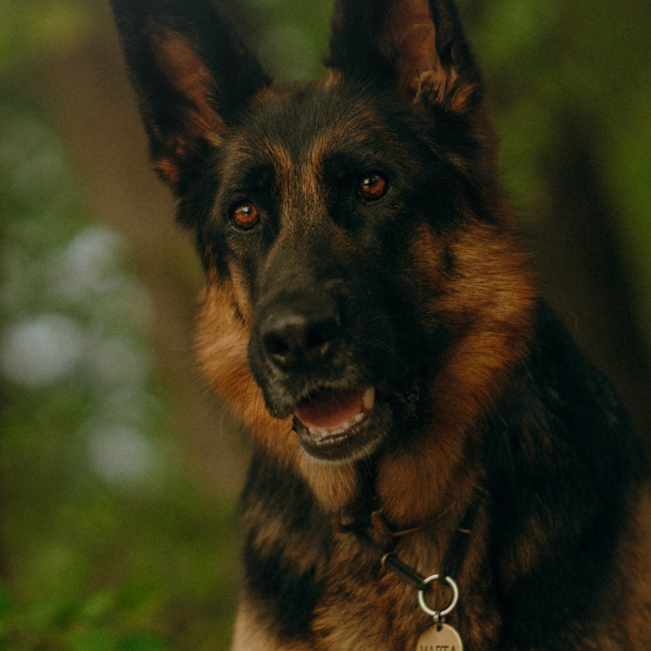 Людмила и Марта